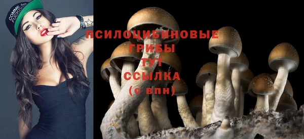твердый Аркадак