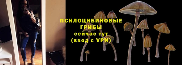 Альфа ПВП Арсеньев