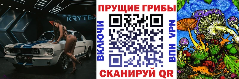 Псилоцибиновые грибы ЛСД  Староминская 